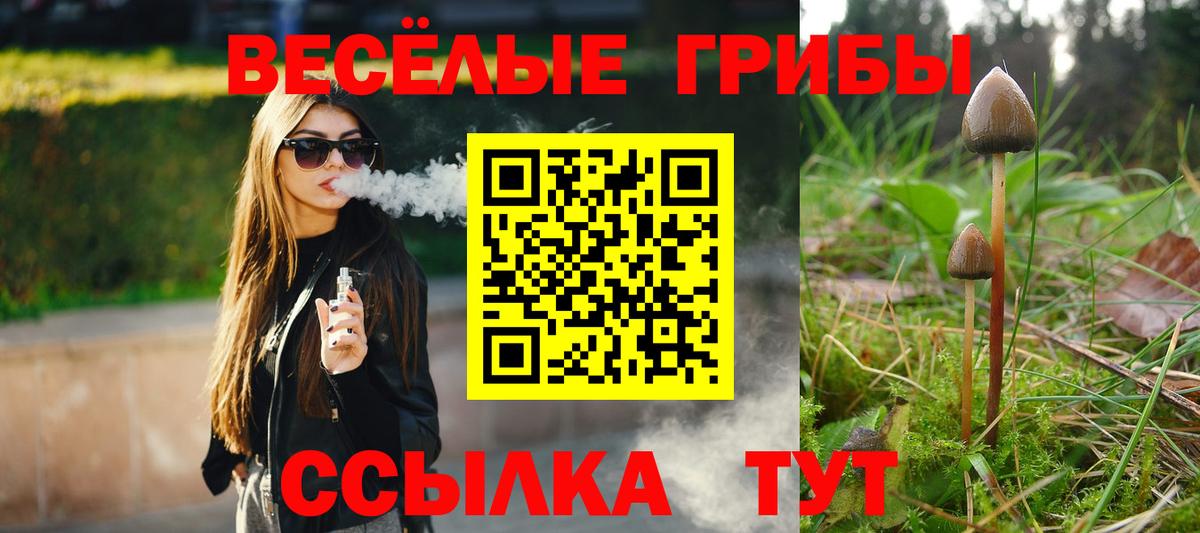 Галлюциногенные грибы мухоморы  Вход с VPN  Железноводск  Галлюциногенные грибы мицелий 