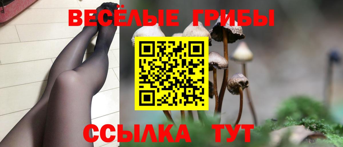 Галлюциногенные грибы GOLDEN TEACHER Железноводск